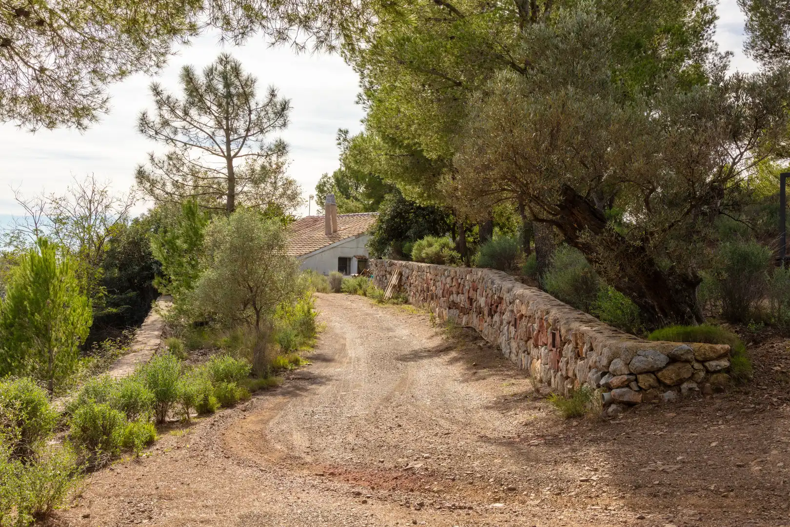 Vista exterior de Casa o chalet en venta en Benicasim / Benicàssim con Calefacción, Jardín privado y Terraza