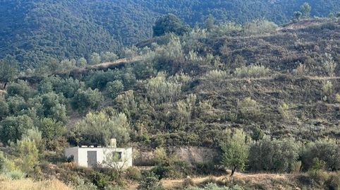 Paraje de los castillos  Restabal