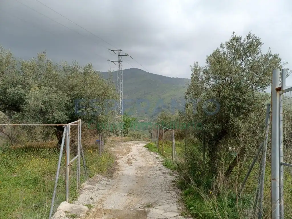 Grundstücke zur Miete in Málaga Capital