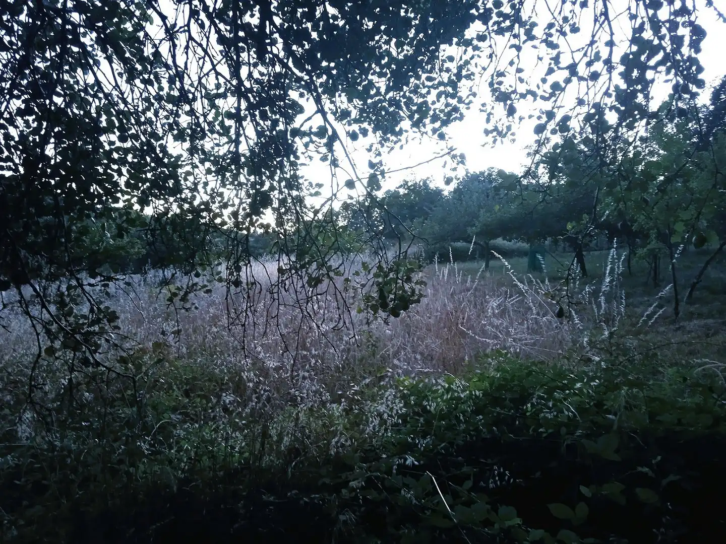 Jardín de Terreno en venta en Villafranca de la Sierra