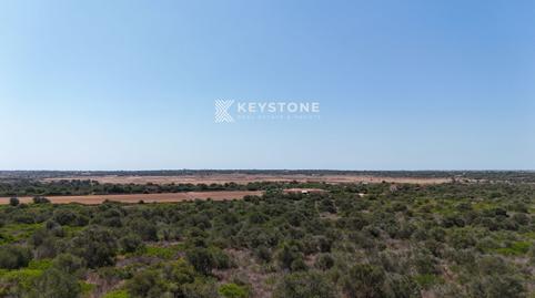 Photo 2 of Land for sale in Santanyi, 1, Santanyí Poble, Illes Balears