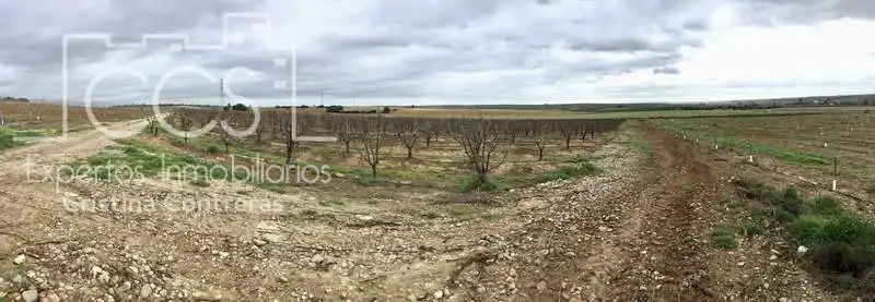 Terreno rústico en venta en Huévar del Aljarafe, imagen 24