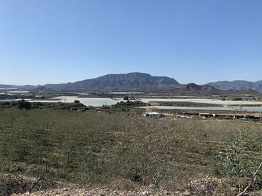 Terreno residencial en venta en Monforte del Cid