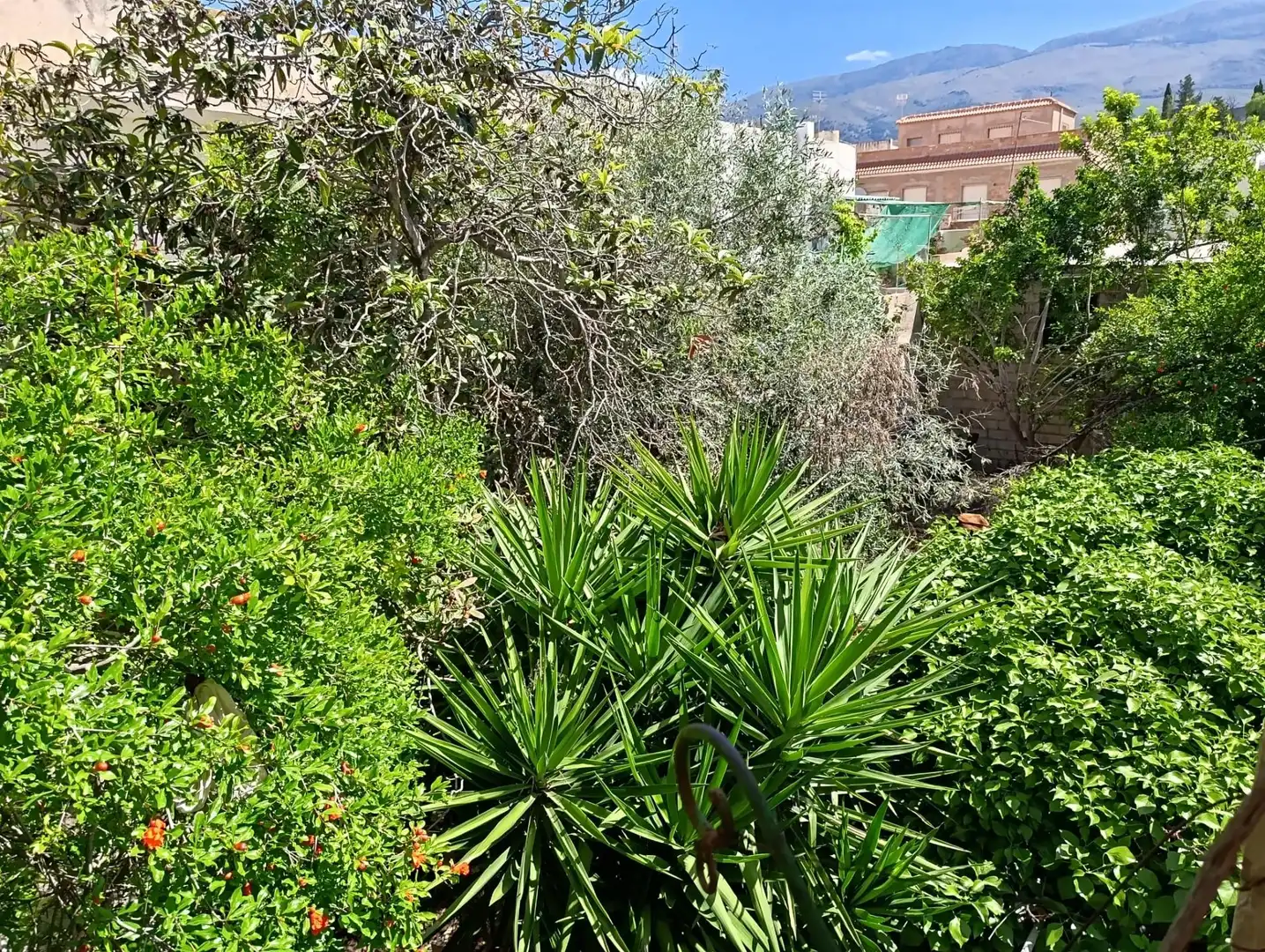 Casa con terraza en venta en Berja, imagen 17