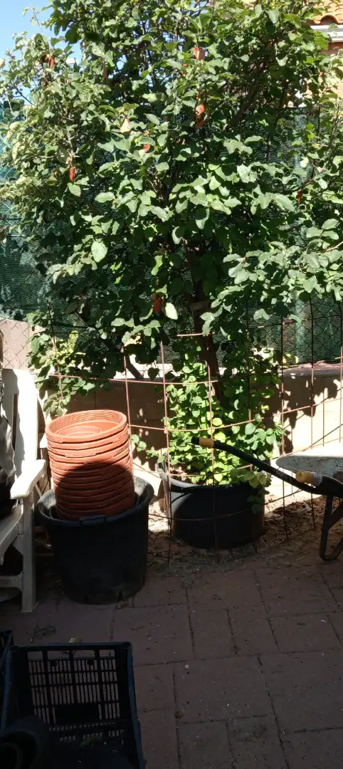 Habitatge amb jardí en venda a Pioz, imagen 13
