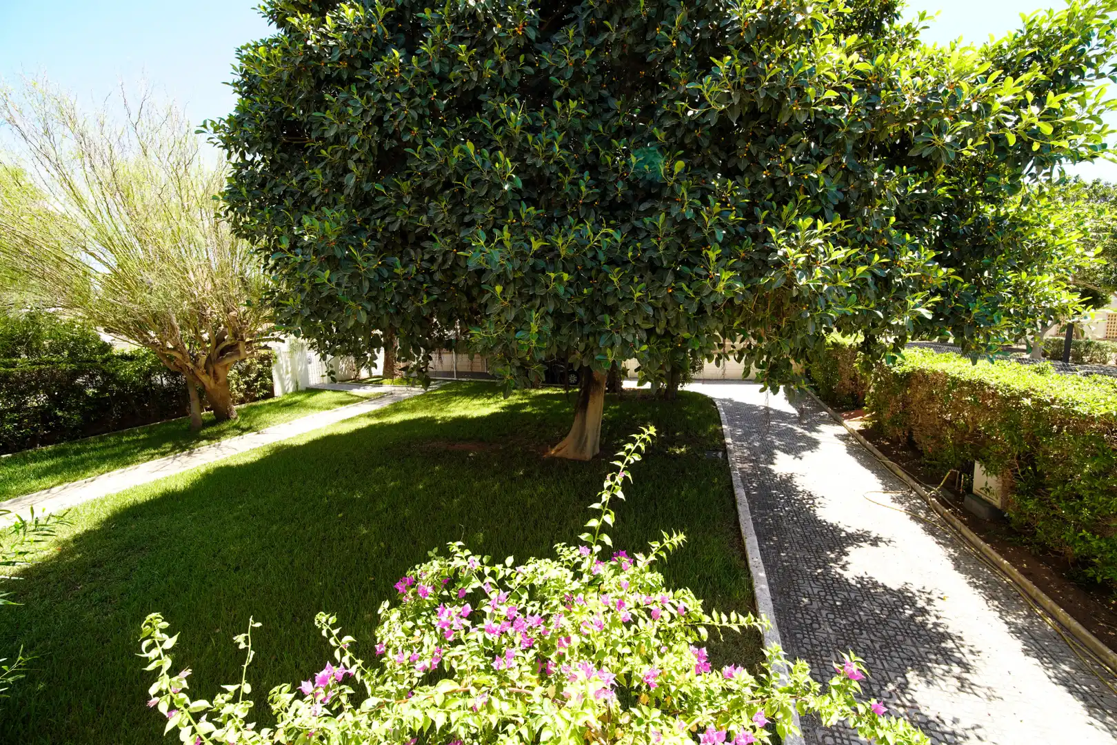 Villa con giardino in vendita a Calle Río Ter 14, imagen 16