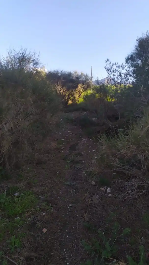 Terreni e lotti in vendita a Avenida de las Palmeras 66, imagen 2