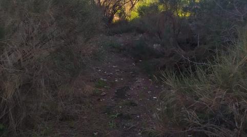 Photo 2 of Land for sale in Avenida de las Palmeras, 66, Avda Pescia - Ctra de Frigiliana, Málaga