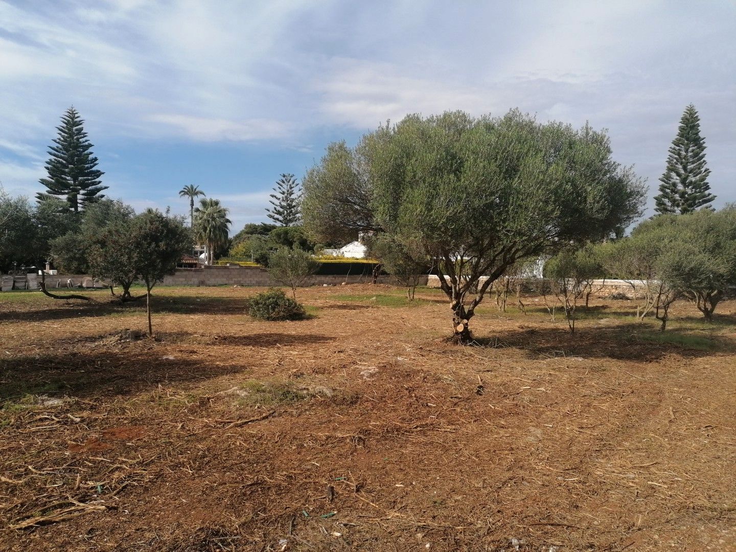 Residencial en venda en Ciutadella de Menorca