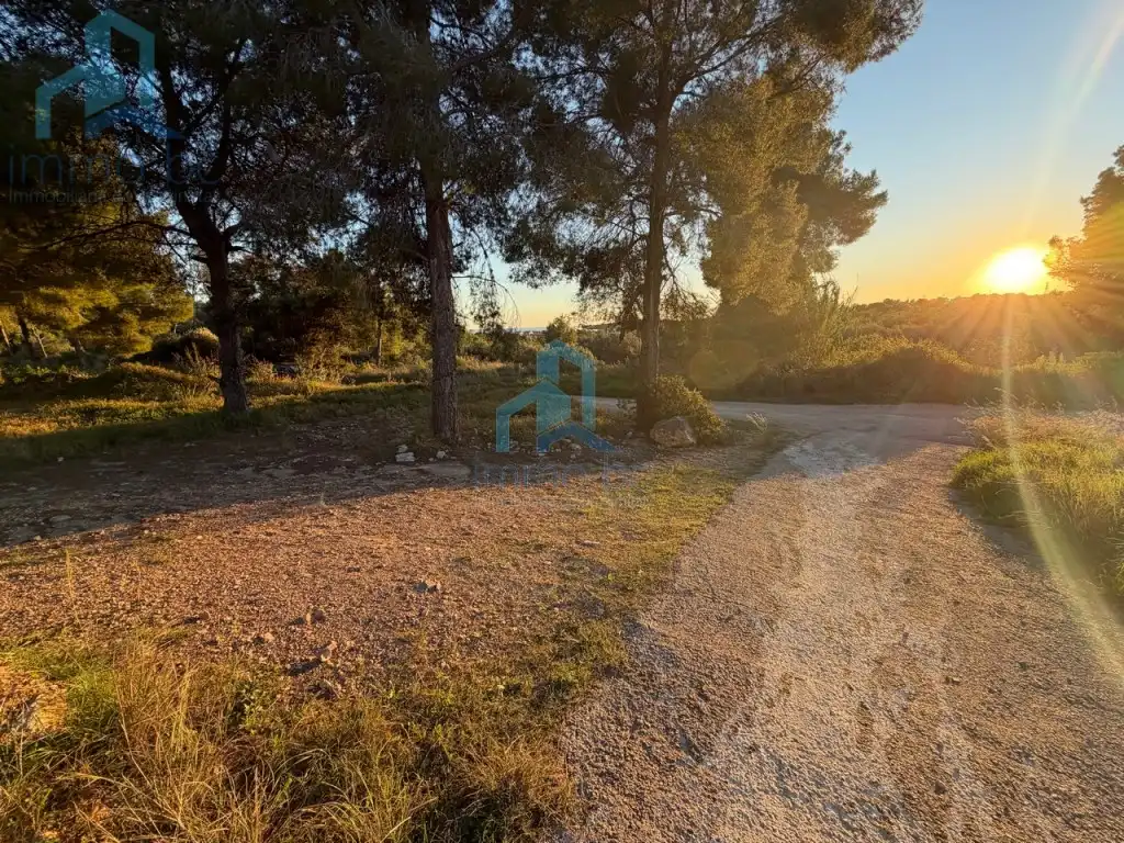 Residential land for sale in Calle Alegria, imagen 16
