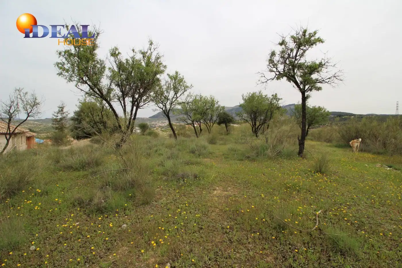 Country homes for sale in Víznar
