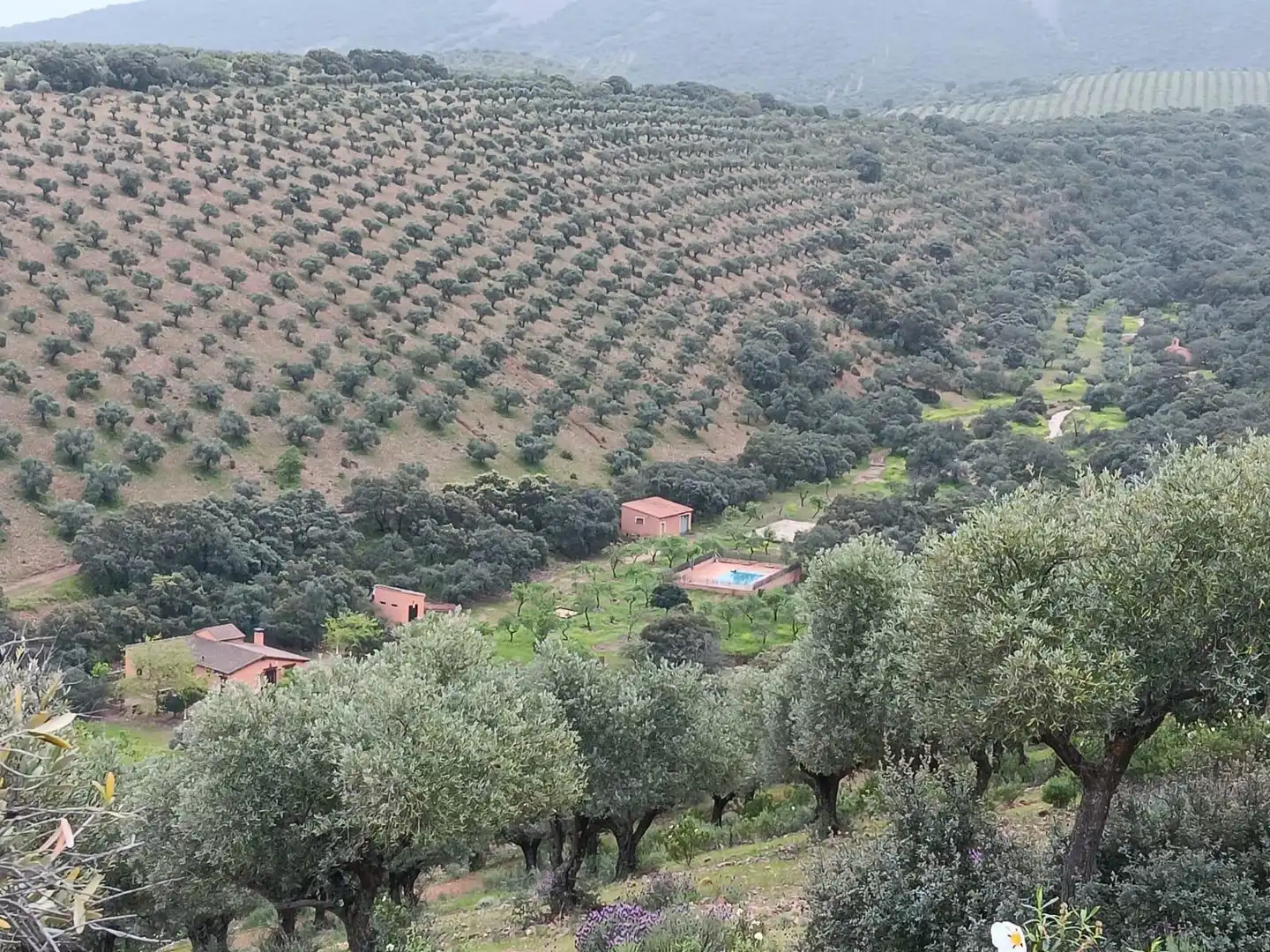 Finca rústica en venda a Belvís de la Jara