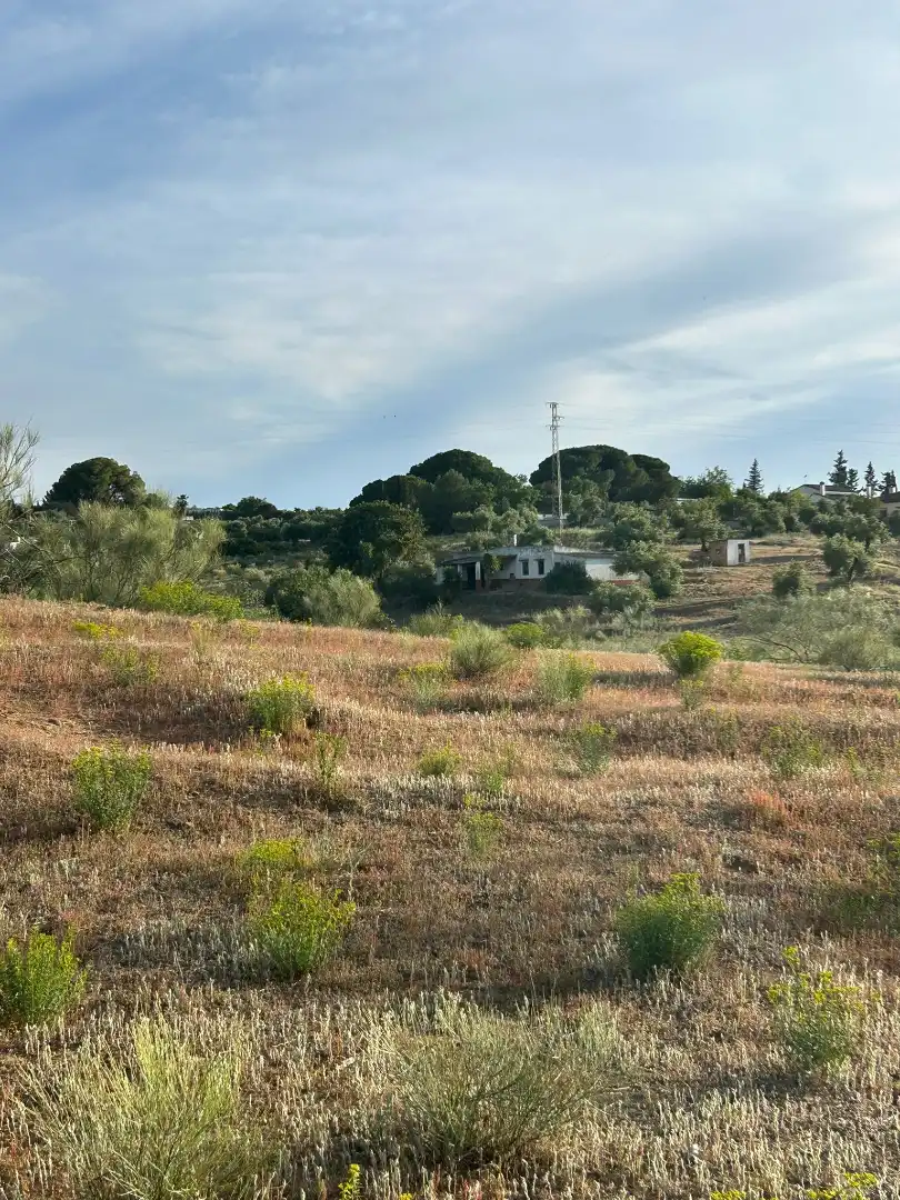 Terrain rustique à vendre à Arcos de la Frontera
