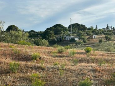 Rural land for sale in Arcos de la Frontera
