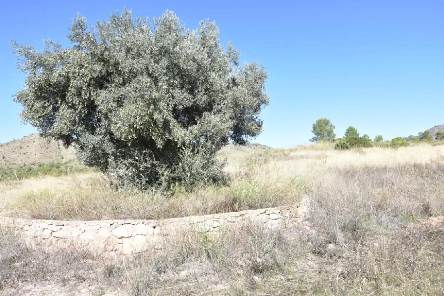 Casa o chalet en venta en Liétor - casa de la rambla Lietor, Liétor