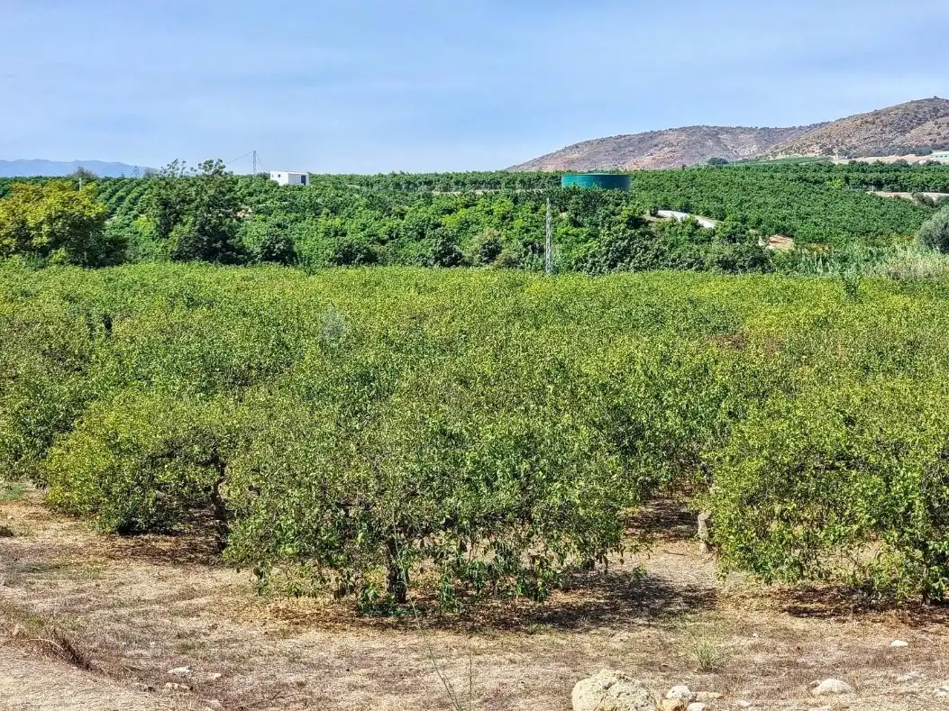 Terreno rustico in vendita a Alquería - Torrealquería