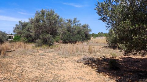 Foto 3 de Terreno en venta en Polígono del Aeropuerto, Manises