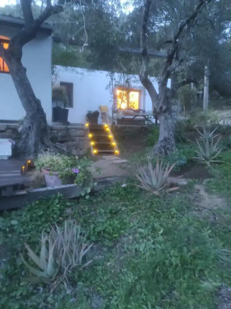 Jardí de Finca rústica en venda en Cortes de la Frontera amb Jardí privat, Forn i Rentadora