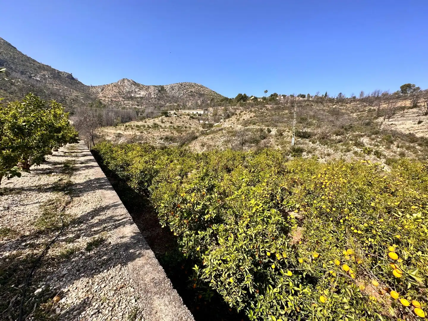 Residencial en venta en L'Atzúbia