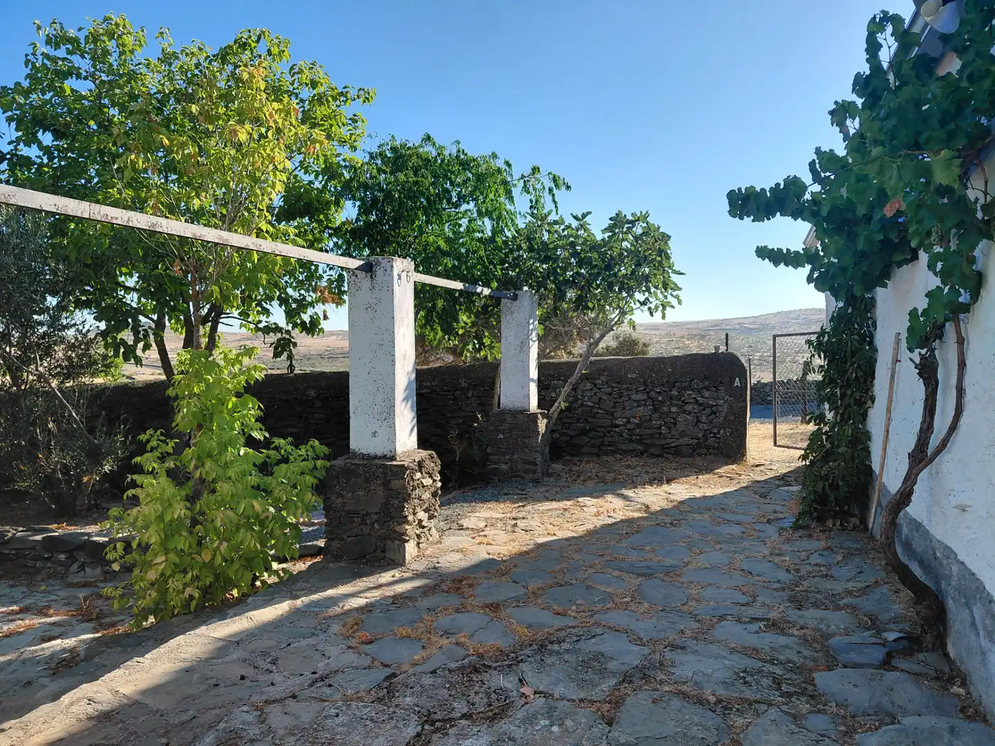 Vista exterior de Finca rústica en venta en Segura de León con Jardín privado, Terraza y Amueblado