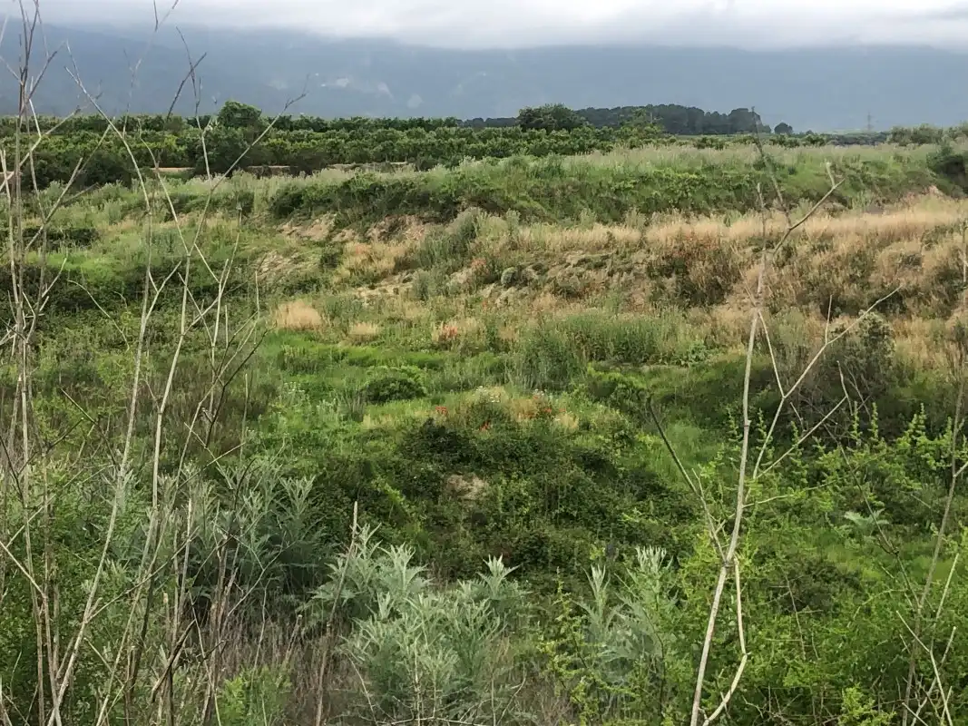 Terreno rústico en venta en Castelló de Rugat, imagen 21
