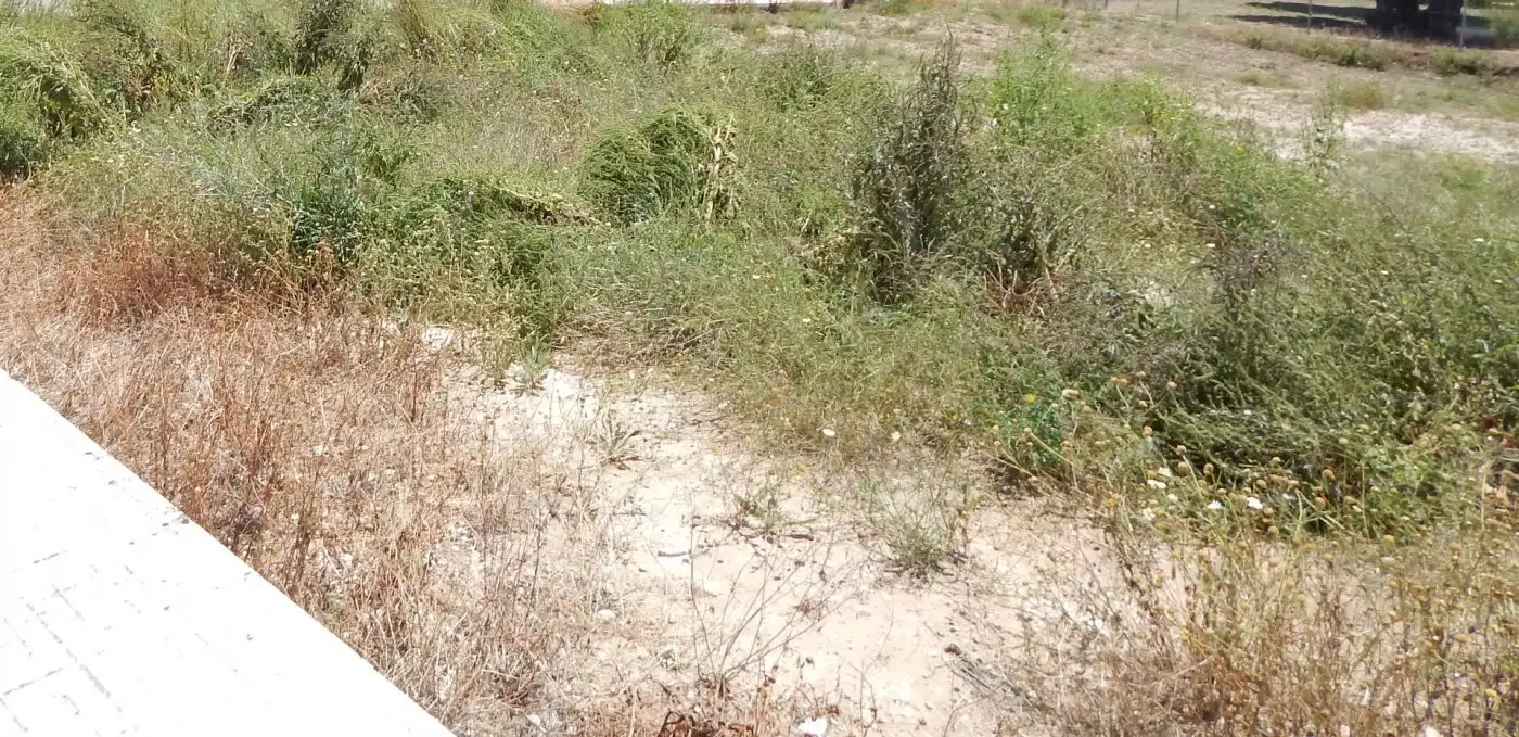 Terreny residencial en venda a Aielo de Malferit