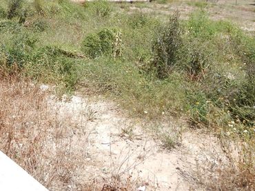 Terreny residencial en venda a Aielo de Malferit