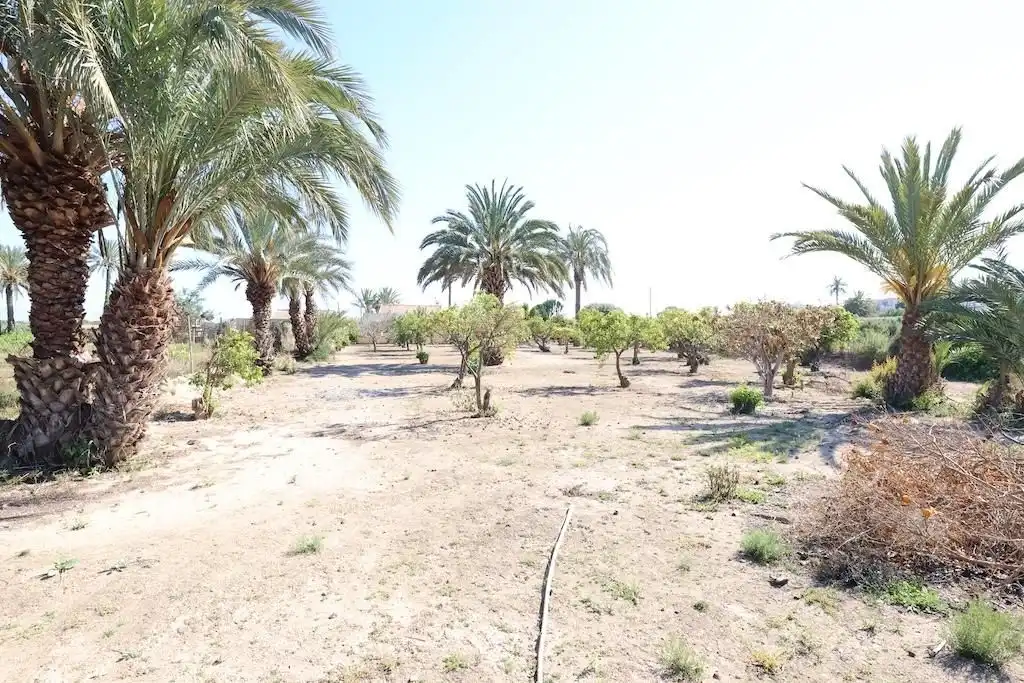 Detached house for sale in La Marina, imagen 12