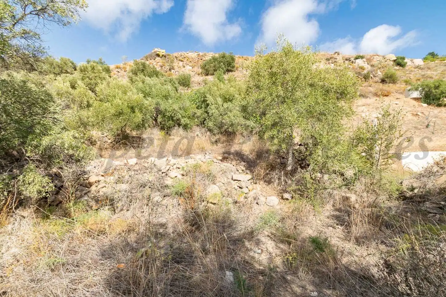 Terreno rústico en venta en Torrox Pueblo, imagen 8