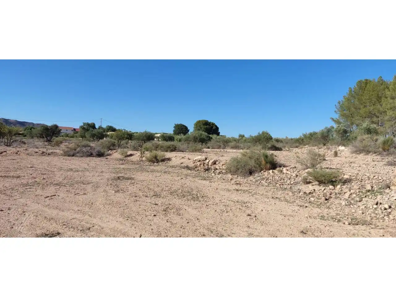 Terrenos y solares en venta en Hellín, imagen 6