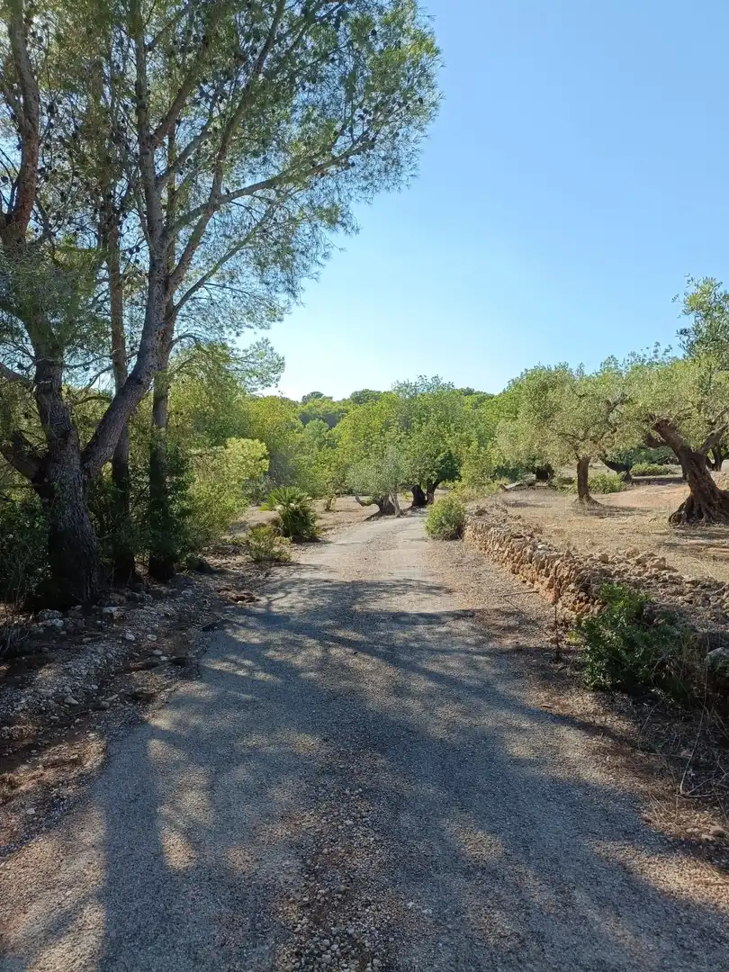 Residencial en venda en L'Ametlla de Mar 