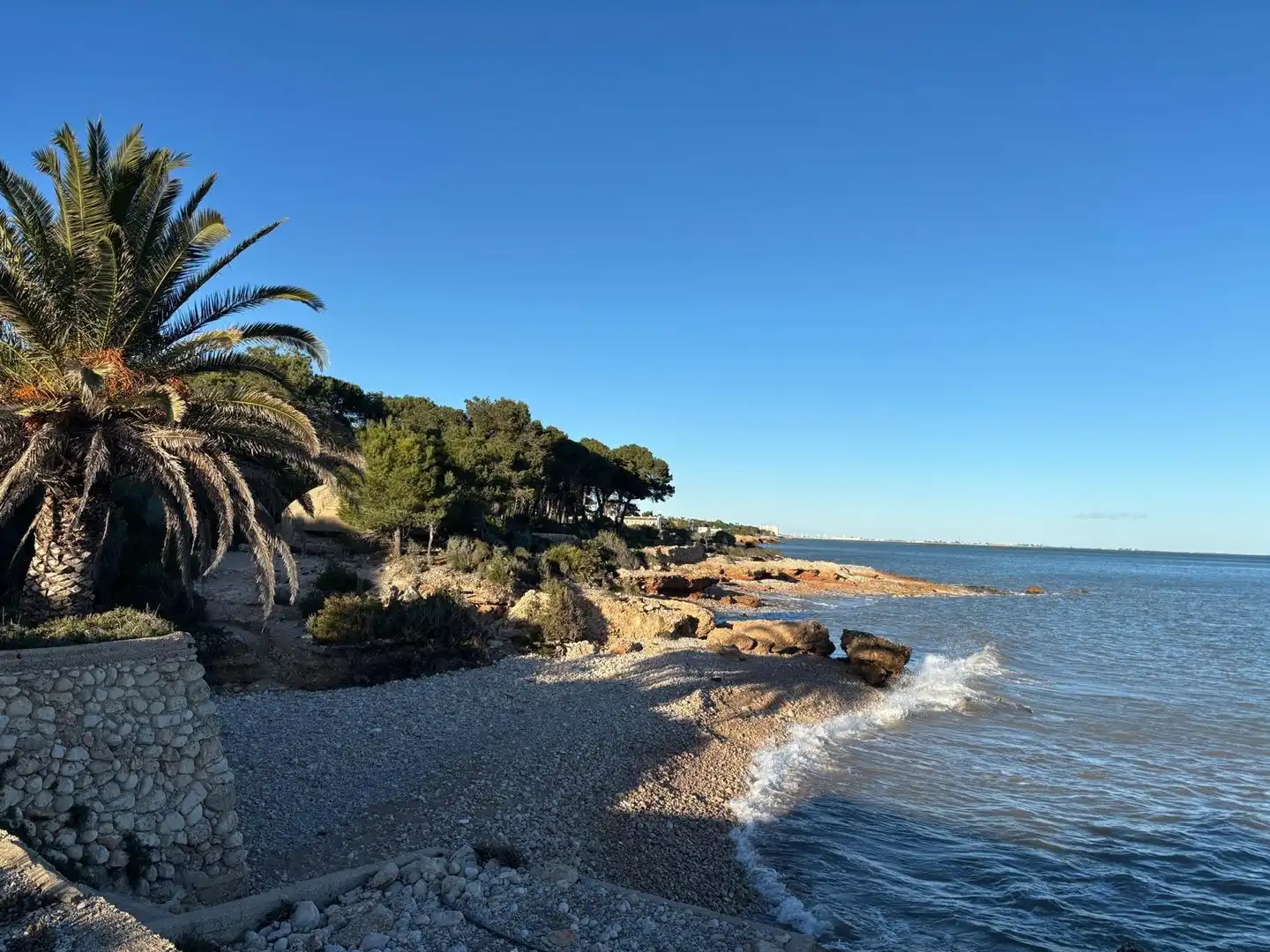 Vista exterior de Casa o xalet en venda en Alcanar amb Jardí privat, Traster i Piscina