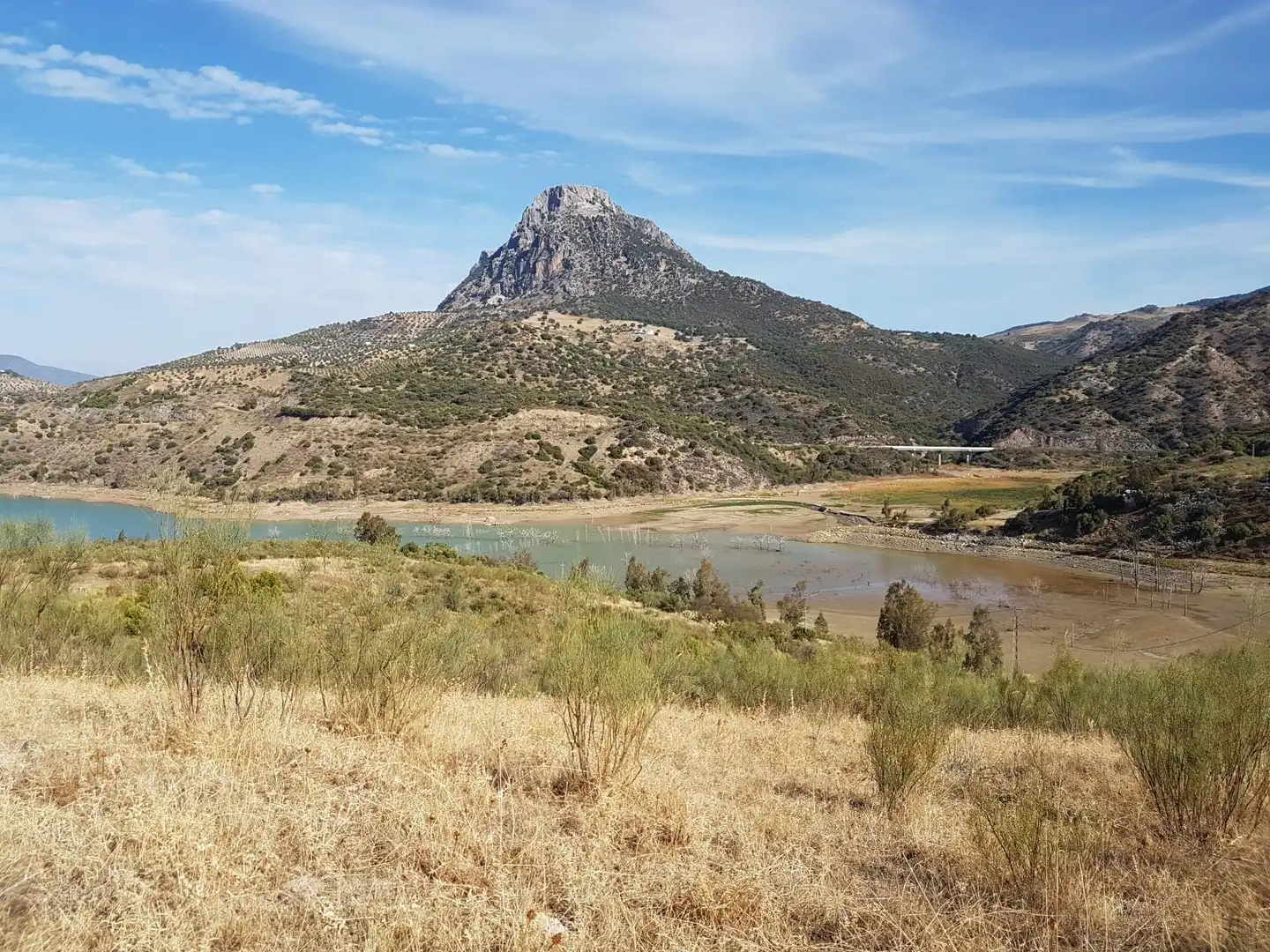 Terreny rústic en venda a Zahara, imagen 8