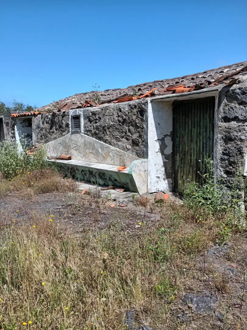 Vista exterior de Finca rústica en venta en Garachico
