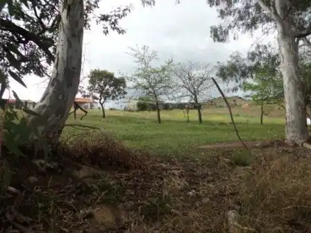Residential land for sale in Espiel, imagen 5