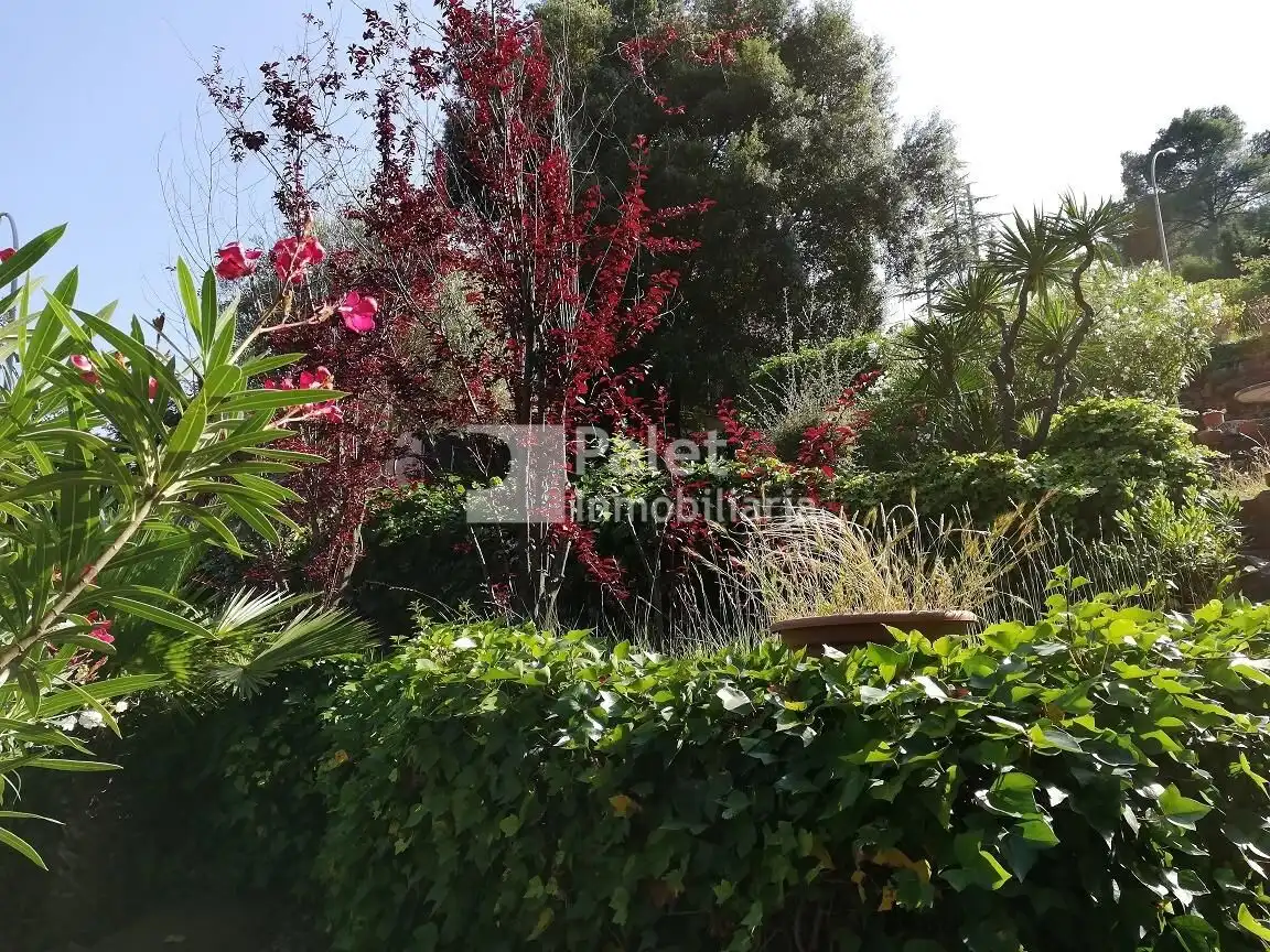 Terreny residencial en venda a CINQUENA AVINGUDA, imagen 6