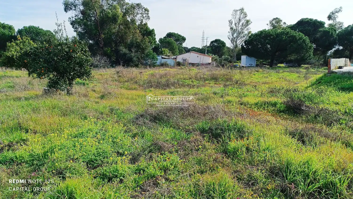 Terrenos y solares en venta en Gibraleón, imagen 16