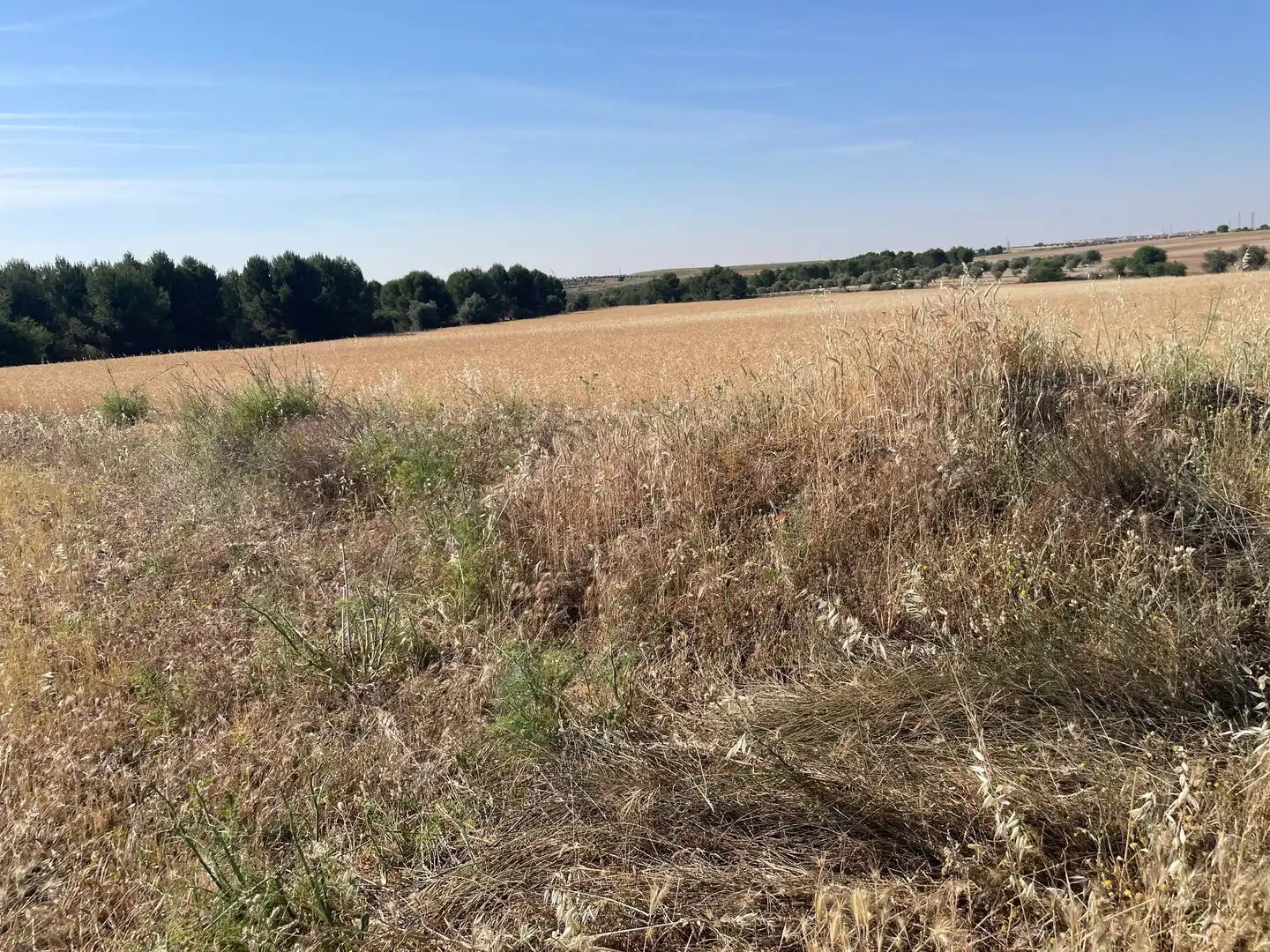Terreno rustico in vendita a Ontígola, imagen 4