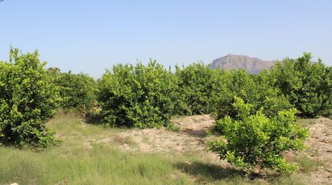 Foto 4 de Casa o xalet en venda a Molins - Campaneta - San Bartolomé, Orihuela