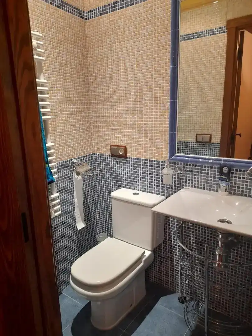 Bathroom of Houses for sale in Bañobárez  with Storage room, Furnished and Oven