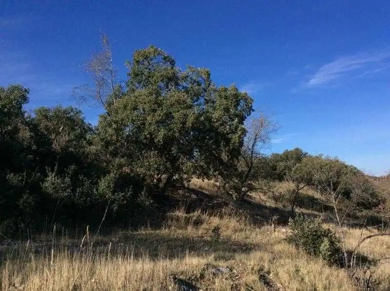 Terreni e lotti in vendita a Castillo de Locubín, imagen 10