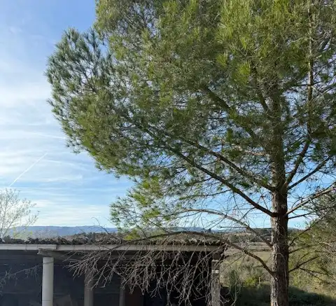 Rustikales Grundstück zum Verkauf in Carretera de Tarragona a San Sebastián y Bilbao, imagen 4