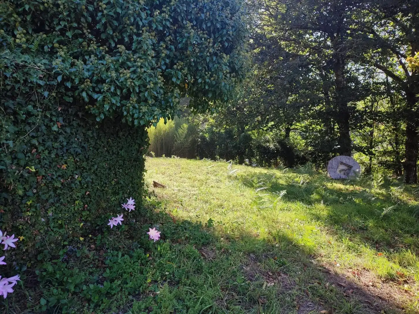 Terreno residenziale in vendita a Área de Ames, imagen 5