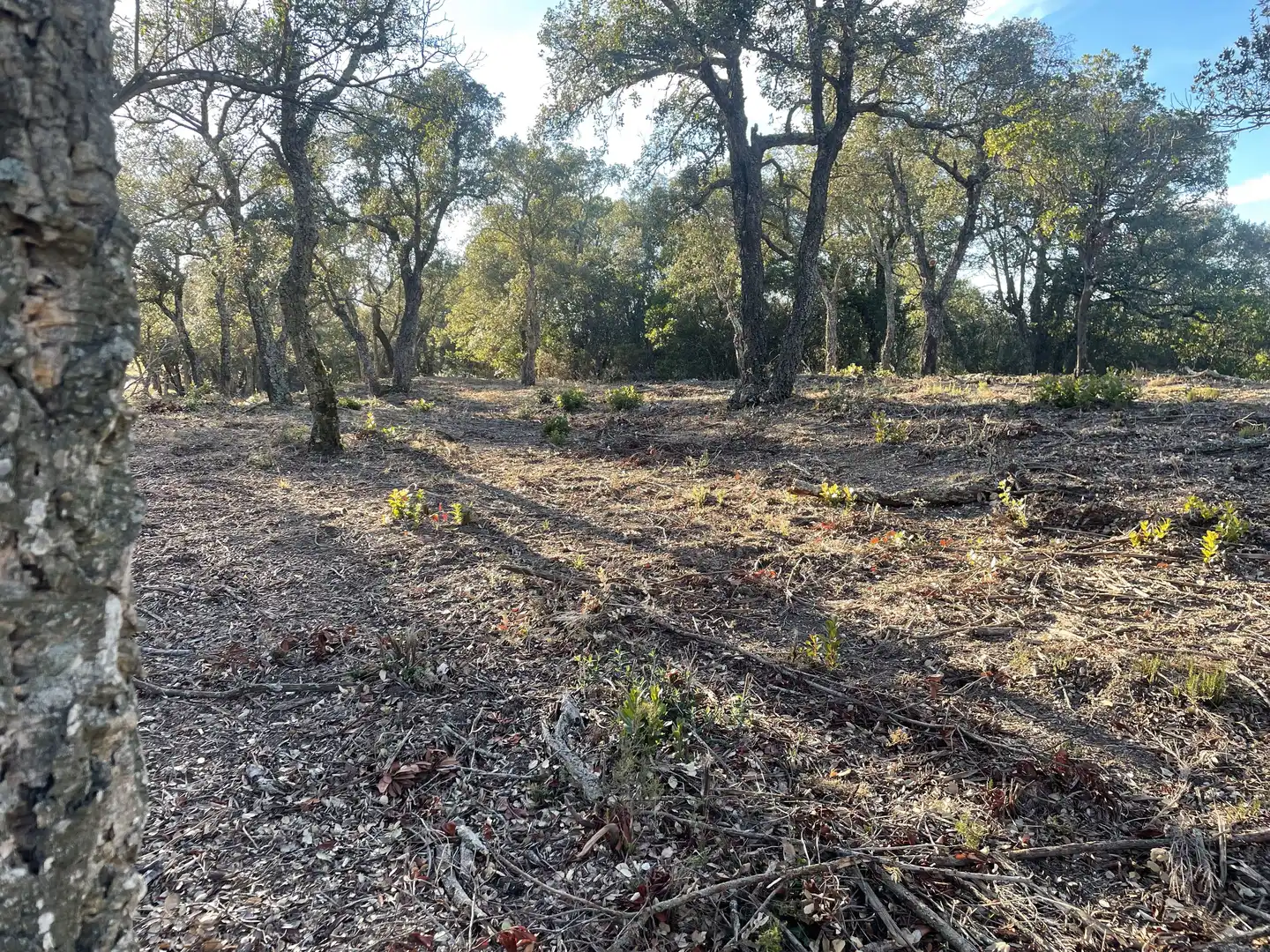 Finca rústica en venta en Quart con Calefacción, Jardín privado y Parquet