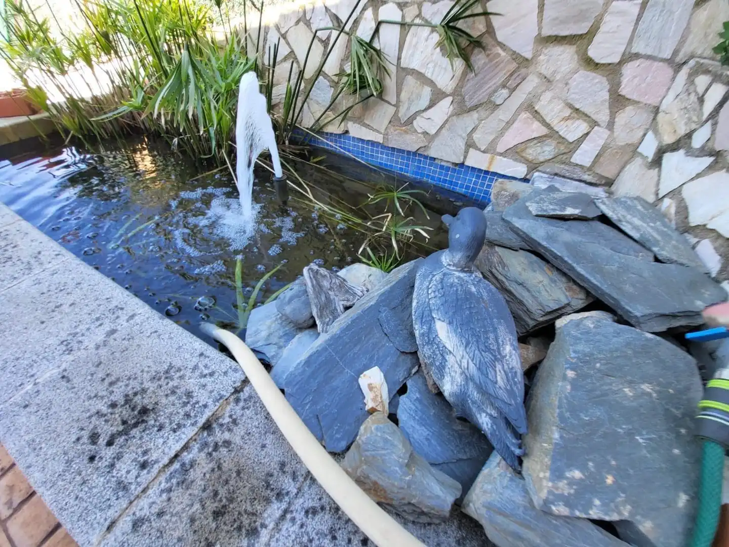 Xalet amb piscina en venda a Calle Cap de Creus, imagen 25