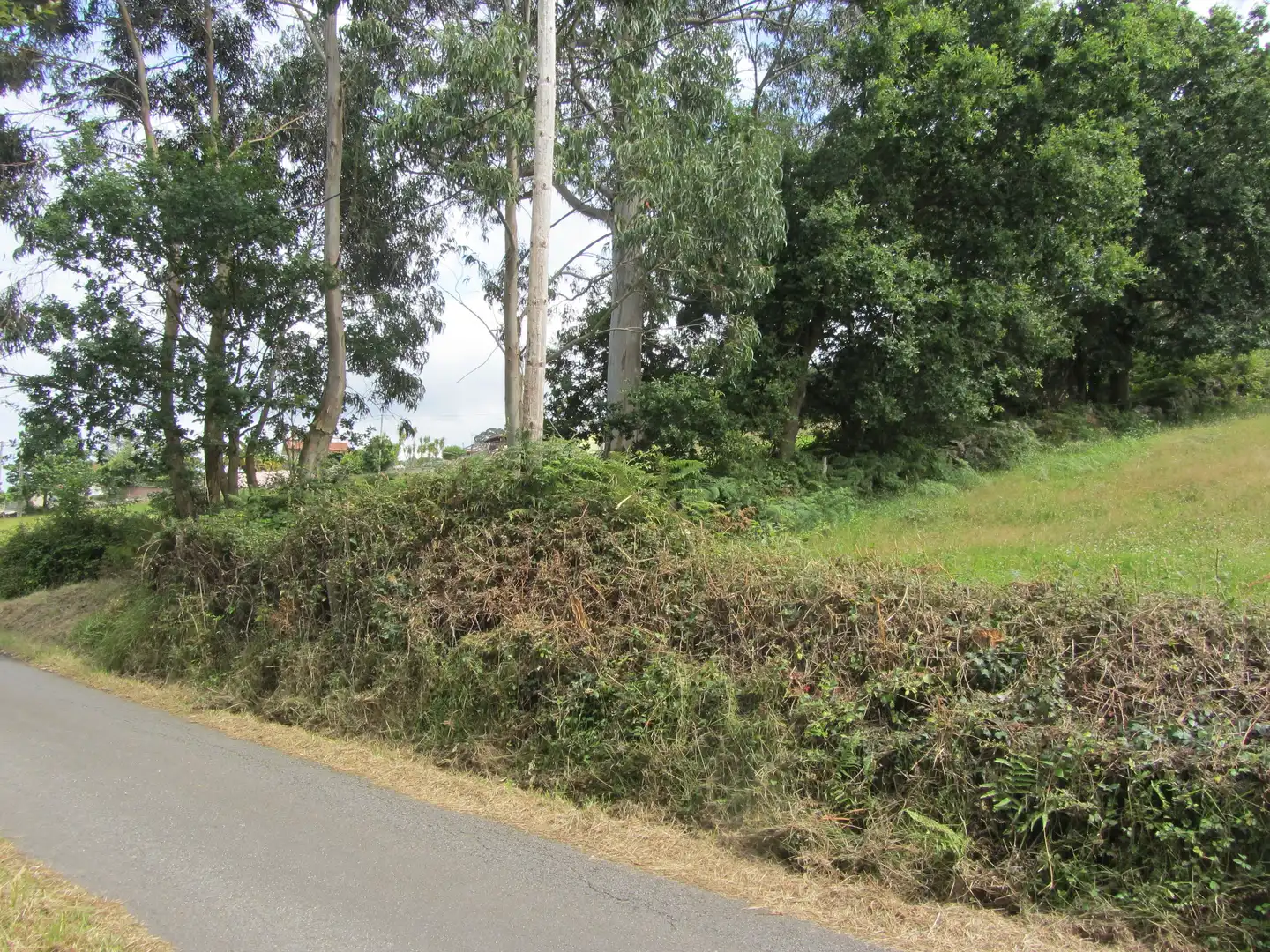 Terreny residencial en venda a Camin de los Payares, imagen 15
