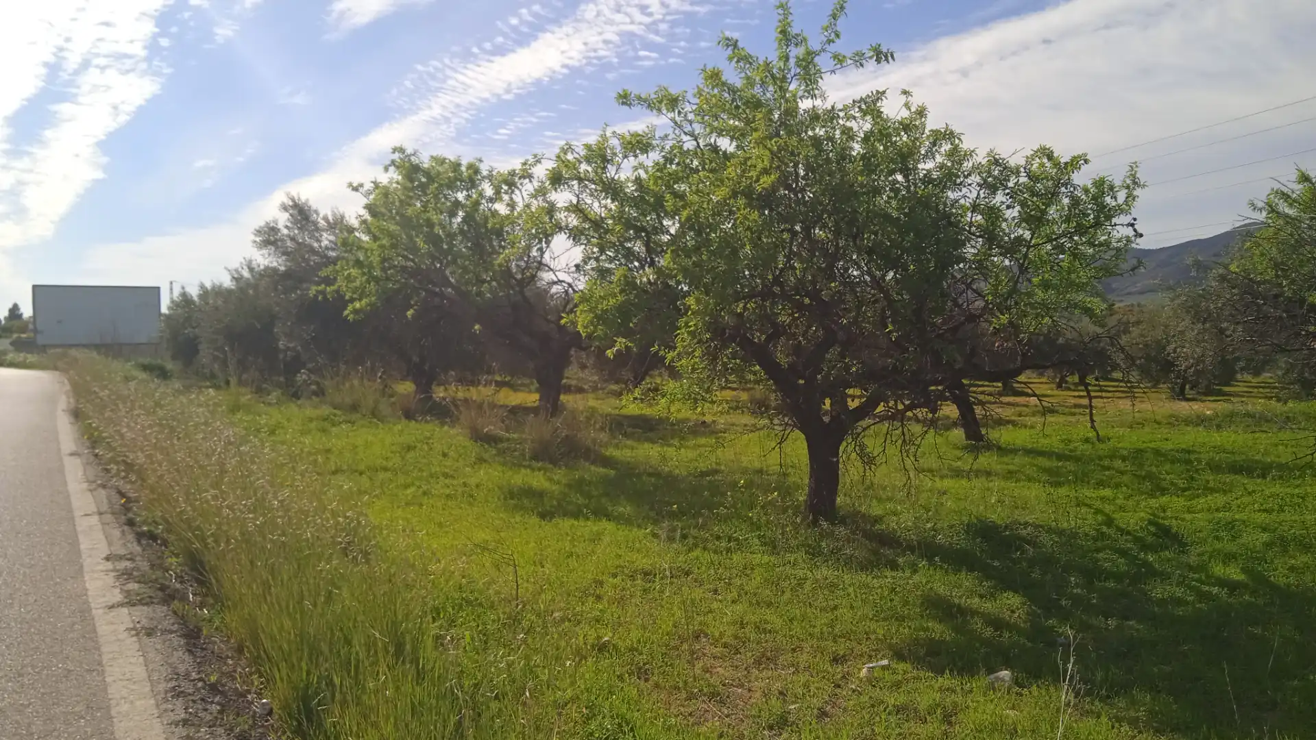 Rustikales Grundstück zum Verkauf in Camino Cuesta del Palmar 34
