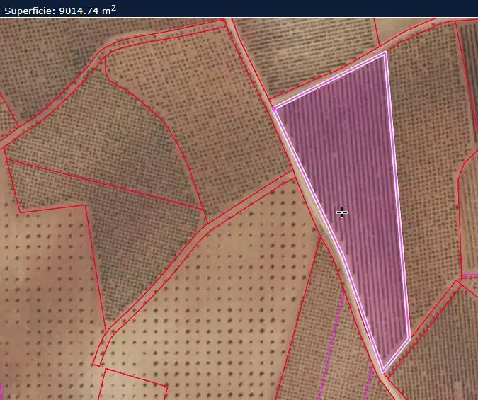 Rural land for sale in Valdepeñas, imagen 9