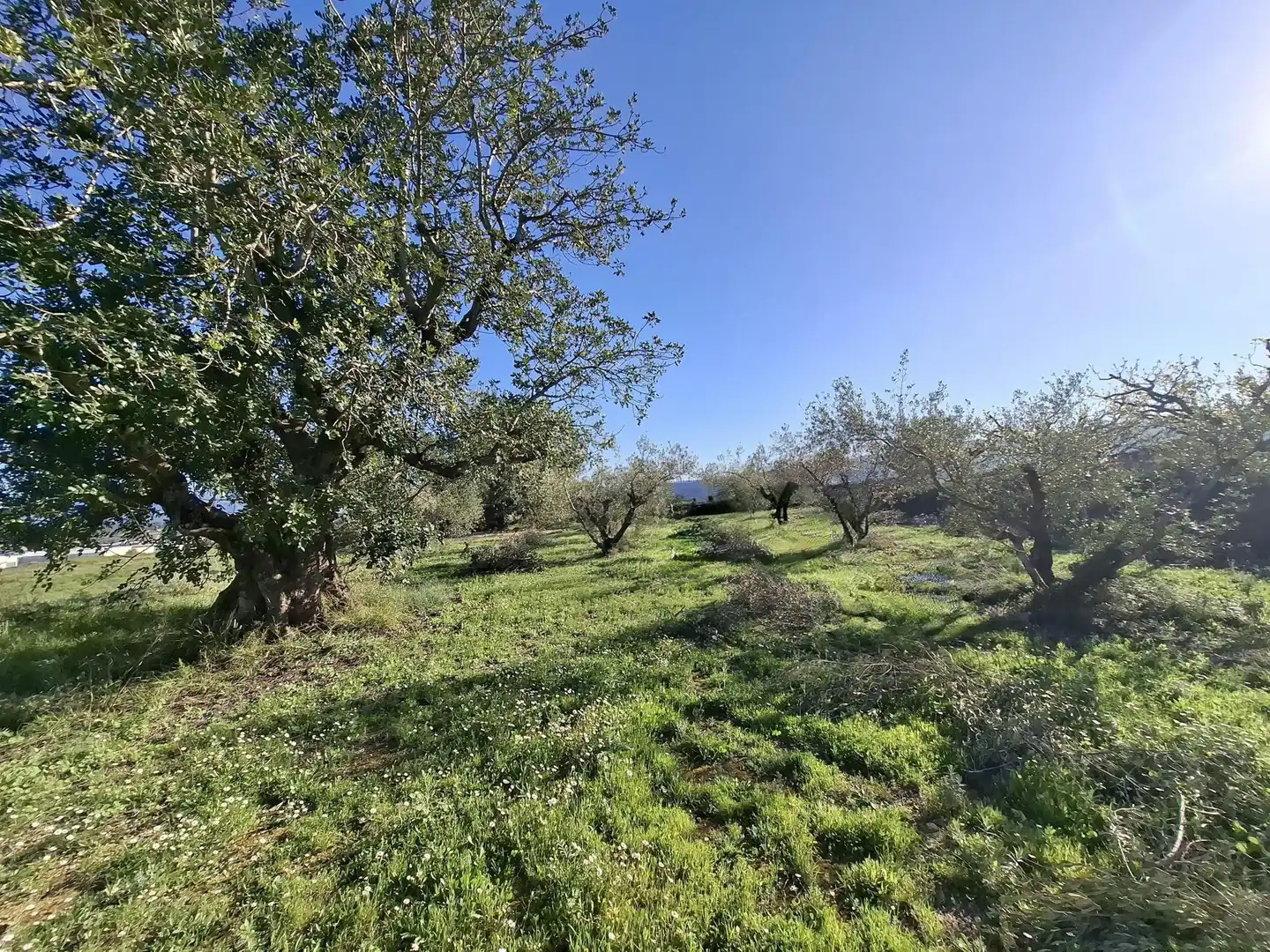 Residential for sale in Aielo de Malferit