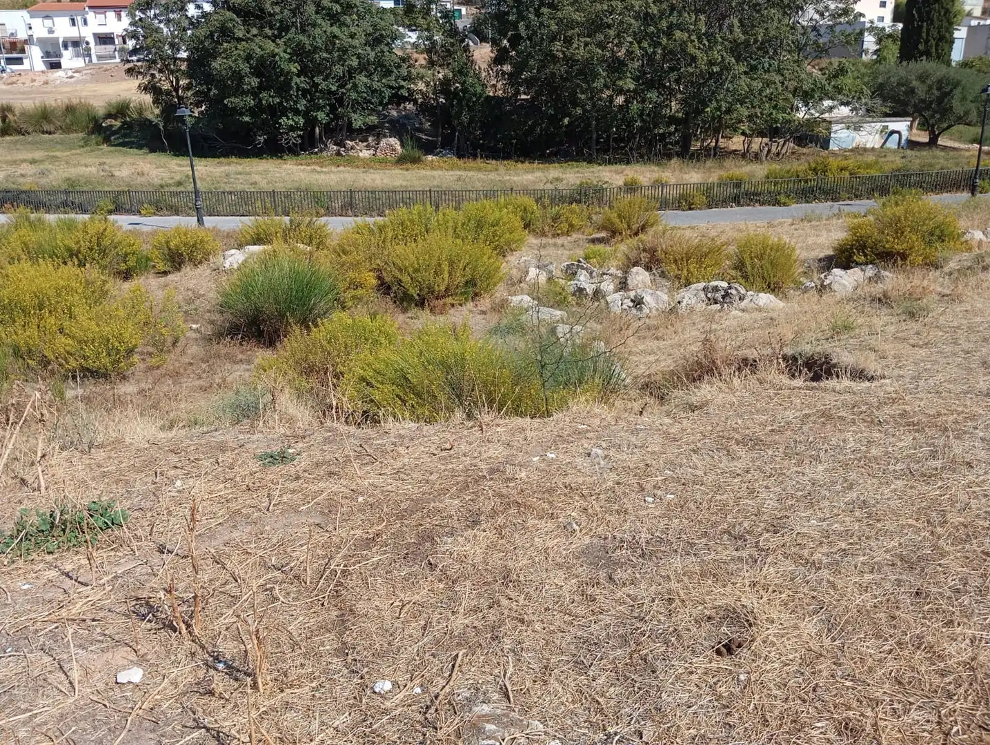 Terreno residencial en venta en Calle Galileo 21, imagen 4